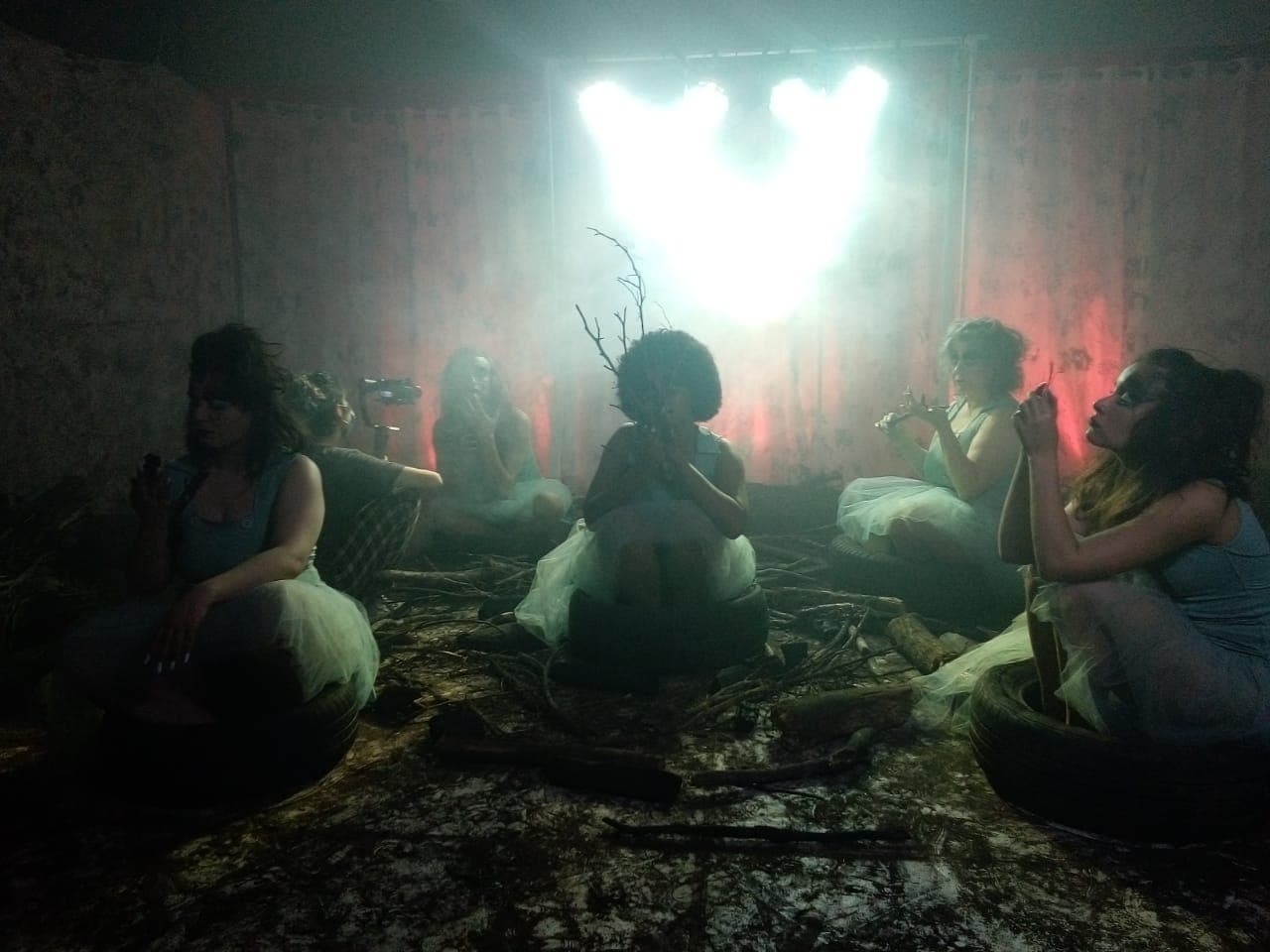 Tentilhão — foto 4